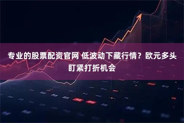专业的股票配资官网 低波动下藏行情？欧元多头盯紧打折机会
