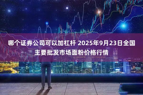 哪个证券公司可以加杠杆 2025年9月23日全国主要批发市场面粉价格行情